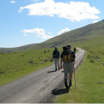 Camino Francés (St-Jean-Pied-de-Port - Logroño)