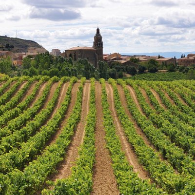 Camino Francés (Logroño - Burgos)