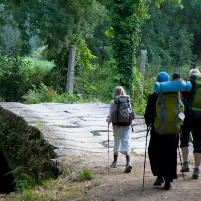 Camino Portugues Light (Tui-Santiago)