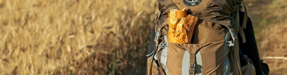 Camino Francés (Logroño - León)
