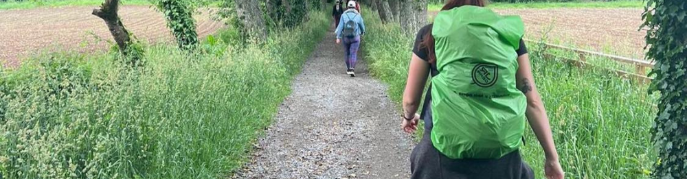 Camino Francés Light (Sarria - Santiago) - De sidste 100 km.