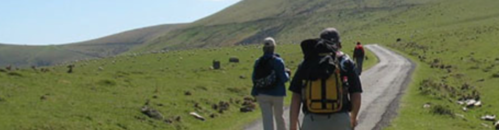 Camino Francés (St-Jean-Pied-de-Port - Logroño)