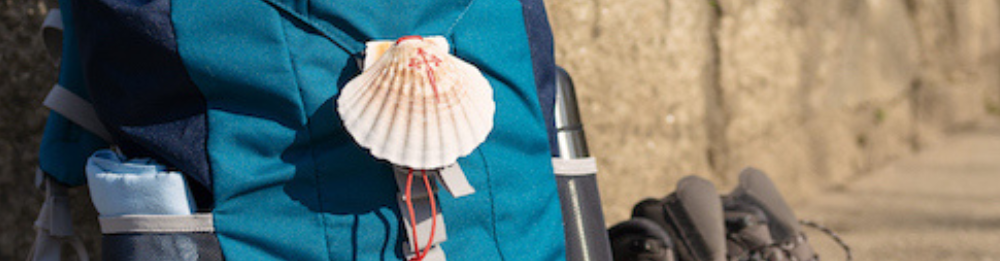 Camino Francés HELE RUTEN (St-Jean-Pied-de-Port - Santiago)