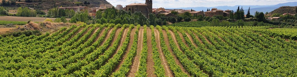 Camino Francés (Logroño - Burgos)