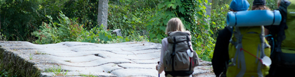 Camino Portugues Light (Tui-Santiago)