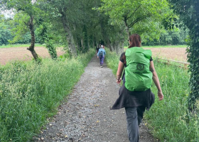 Camino Francés Light (Sarria - Santiago) - De sidste 100 km.
