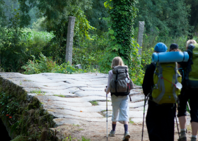 Camino Portugues Light (Tui-Santiago)