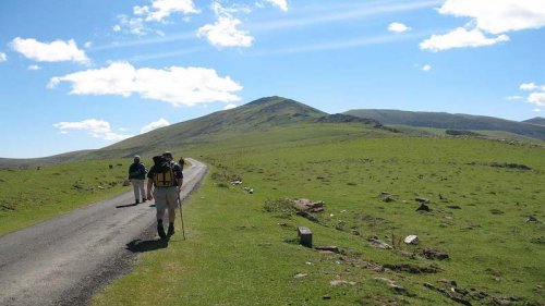 Camino de Santiago Francés