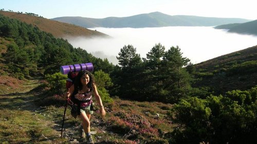 Camino De Santiago Primitivo