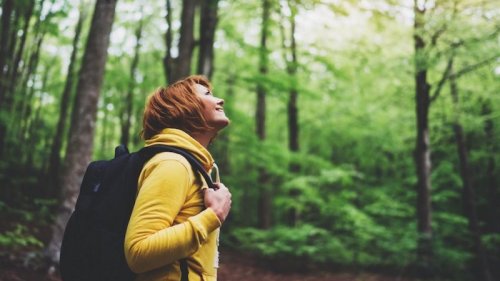 Mindre stress, angst og depresive symptomer efter en pilgrimsvandring