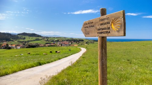 Den Ultimative Camino Guide - hvordan du forbereder dig til din Caminorejse