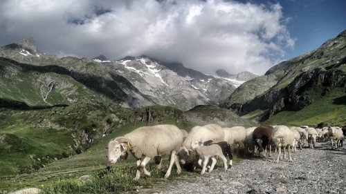 Timelap St-Jean-Pied-de-Port til Roncesvalles